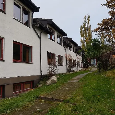 Vikhammer Motel 3*